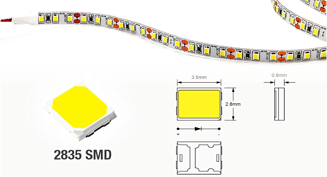 Hot Sale 3 Years Warranty DC 5V/12/24V or AC 220V Strip Lighting for Holiday Decoration